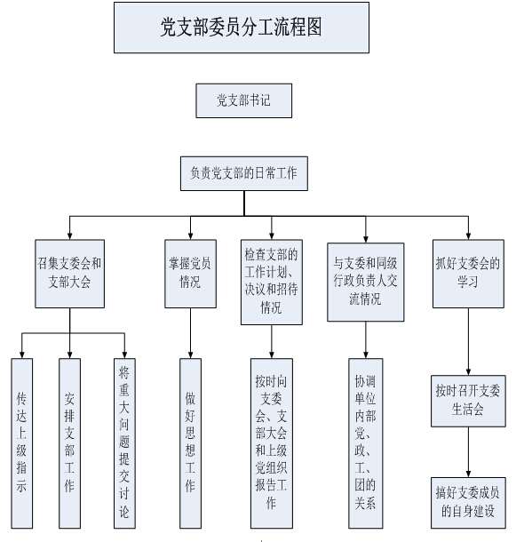 党支部委员分工流程图