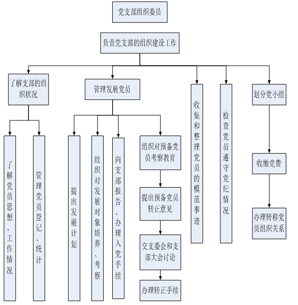 党支部委员分工流程图