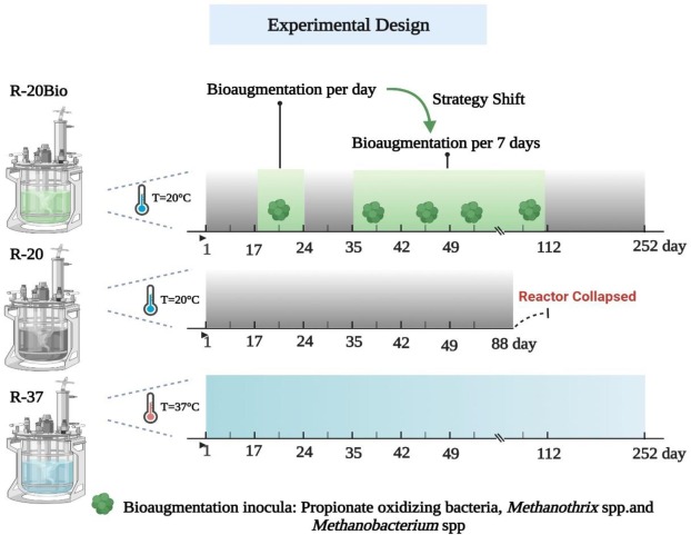 experimental design.jpg